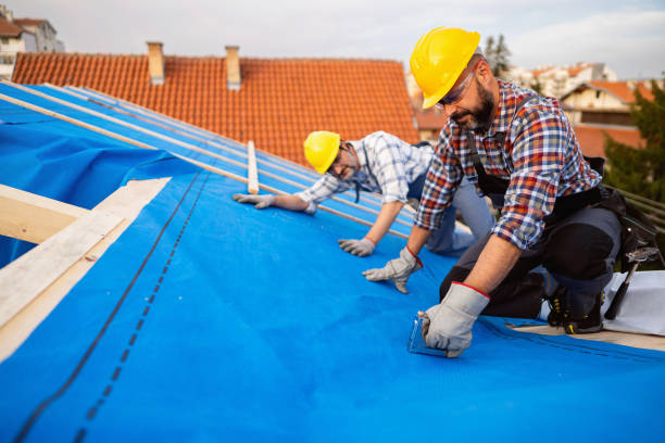 Best Sheet Metal Roofing  in Mpbell, CA